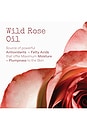 view 5 of 6 Wild Rose Spotless Serum in 