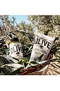 view 6 of 8 Olive Body Cream in Olive Blossom