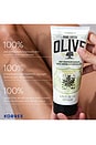 view 8 of 8 Olive Body Cream in Olive Blossom