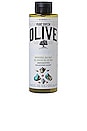 view 1 of 1 Olive Shower Gel in Sea Salt