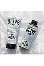view 4 of 6 Olive Oil Sea Salt Shower Gel & Body Milk Set in 