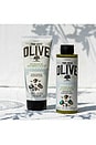 view 5 of 6 Olive Oil Sea Salt Shower Gel & Body Milk Set in 