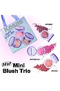 view 2 of 7 ПРАЗДНИЧНЫЙ НАБОР BAKED BLUSH MINI TRIO in 