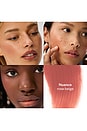 view 2 of 10 Impressionist Multistick Cream Cheek + Lip Color in Nuance