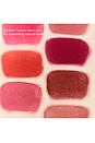 view 10 of 10 Impressionist Multistick Cream Cheek + Lip Color in Vital