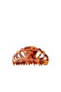 view 1 of 4 ЗАКОЛКА ДЛЯ ВОЛОС ICON CLIP in Tortoise