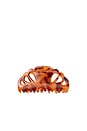view 1 of 4 ЗАКОЛКА ДЛЯ ВОЛОС ICON CLIP in Tortoise