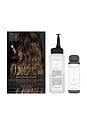 view 1 of 6 BRILLANT CHEVEUX SIGNATURE HAIR GLOSS in Smoky Topaz