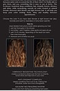 view 4 of 6 BRILLANT CHEVEUX SIGNATURE HAIR GLOSS in Smoky Topaz