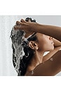 view 5 of 8 CHAMPÚ DEEP CLEAN CLARIFYING SHAMPOO in 