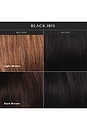 view 7 of 6 BRILLANT CHEVEUX SIGNATURE HAIR GLOSS in Black Iris