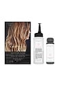 view 1 of 6 BRILLANT CHEVEUX SIGNATURE HAIR GLOSS in Winter Wheat