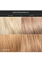 view 7 of 6 BRILLANT CHEVEUX SIGNATURE HAIR GLOSS in Winter Wheat