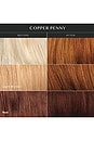 view 6 of 5 BRILLANT CHEVEUX SIGNATURE HAIR GLOSS in Copper Penny