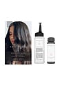 view 1 of 5 BRILLANT CHEVEUX SIGNATURE HAIR GLOSS in Crystal Quartz
