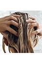 view 6 of 7 APRÈS-SHAMPOING ULTRA LIGHTWEIGHT SOFTENING CONDITIONER in 