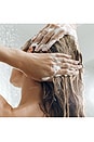 view 6 of 6 SHAMPOING ULTRA RICH SOFTENING SHAMPOO in 
