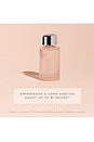view 10 of 9 PERFUME PARA EL PELO THE ONE SIGNATURE HAIR PERFUME in 