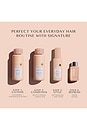 view 11 of 12 BASE CAPILLAIRE SANS RINÇAGE THE ONE 12-IN-1 LEAVE-IN PRIMER in 