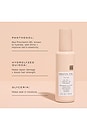 view 5 of 12 BASE CAPILLAIRE SANS RINÇAGE THE ONE 12-IN-1 LEAVE-IN PRIMER in 