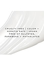 view 8 of 12 BASE CAPILLAIRE SANS RINÇAGE THE ONE 12-IN-1 LEAVE-IN PRIMER in 