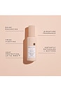 view 10 of 12 BASE CAPILLAIRE SANS RINÇAGE THE ONE 12-IN-1 LEAVE-IN PRIMER in 