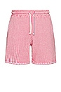view 1 of 4 Striped Knit Shorts in Cactus Flower