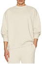 view 4 of 5 Crew Neck Sweatshirt in Birch