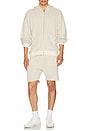 view 4 of 4 Striped Zip Hoodie in Egret