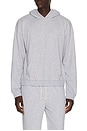 view 1 of 4 SWEAT À CAPUCHE in Dark Heather Gray