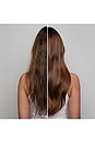 view 9 of 8 Humidity-Blocking Frizz Shield Spray in 
