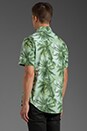view 3 of 5 Paradise Shirt in Paradise