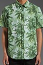 view 4 of 5 Paradise Shirt in Paradise