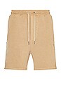 view 1 of 5 4X4 Trak Short in Tan
