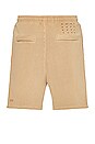 view 2 of 5 4X4 Trak Short in Tan