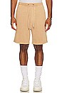 view 4 of 5 4X4 Trak Short in Tan