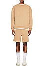 view 5 of 5 4X4 Trak Short in Tan