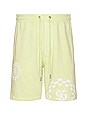 view 1 of 4 Team Trak Shorts in Limelite