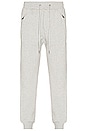 view 2 of 3 4 x 4 Trak Pant Relaxed in Grey Marle