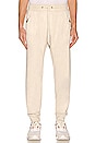 view 1 of 4 PANTALON SWEAT TRAK in Desert