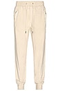 view 2 of 4 PANTALON SWEAT TRAK in Desert