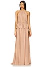 view 1 of 3 Skye Dress in Nude