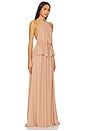 view 2 of 3 Skye Dress in Nude