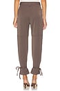 view 4 of 6 Tom Utility Pant in Heather Brown