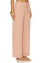 view 2 of 6 Paloma Pant in Nude