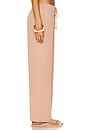 view 3 of 6 Paloma Pant in Nude