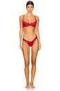view 4 of 4 Sorrento Thong in Red
