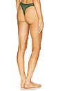 view 3 of 4 Sorrento Thong in Forest Green
