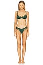 view 4 of 4 Sorrento Thong in Forest Green