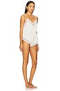 view 2 of 3 Arabella Teddy in Ivory